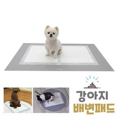 초코펫하우스논슬립