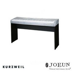 커즈와일신디사이저커버