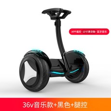 원몽드 전동휠 호버보드 나인봇, B, 36V