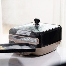 브라운푸드스티머