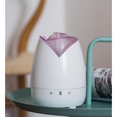 가습기 나무 원목 천연 꽃모양 저소음 침실 사무실용, AA