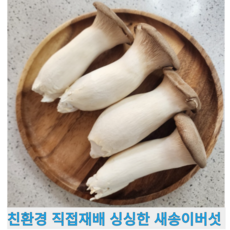 [국내산] 무농약 친환경 직접재배 싱싱한 산지직송 새송이 버섯 새송이버섯, 1개, 2kg(가성비-상)