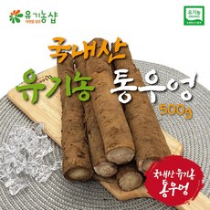 초록한입 국내산 유기농 우엉 500g, 1개
