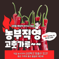 고추가루한근