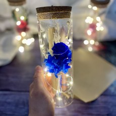 프렌치로즈 시들지않는꽃 LED유리병 편지지 세트, 블루프리저브드플라워