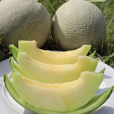 국내산 멜론 프리미엄 고당도 머스크메론 5-6수 7kg내외, 국내산 머스크메론 5-6수 7kg내외