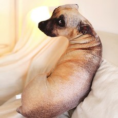 허니잼 눈치보는 리얼 강아지인형 쿠션 베개 웃긴 선물 50cm, 1개 1개
