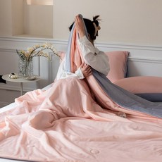 브레빌아이스크림메이커