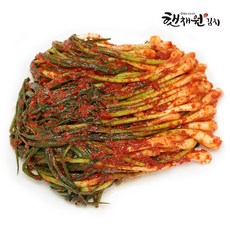 매일 담가 보내는 쪽파 김치 국산 전라도 파김치 1KG, 1개