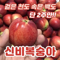 경산신비복숭아