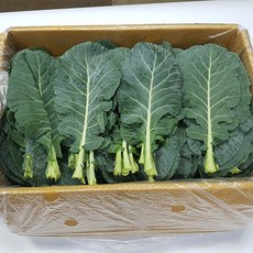 케일 2kg 박스 국내산 쌈채소 특수야채, 1개