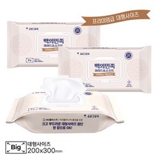간병인 요양병원 전용 물티슈 60매 3팩 저자극 프리미엄 생분해성, 3개