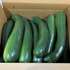 [기타]국산 여주 쥬키니호박 애호박 돼지호박 못난이호박 1kg, 1개