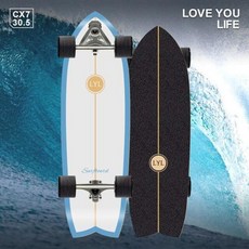 입문용보드 연습용 스케이트 Land Surfboard 스키 서핑 초보, 1