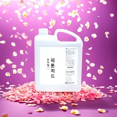 솔향 가득 편백수 천연 피톤치드 스프레이 500ml, 2L, 1개