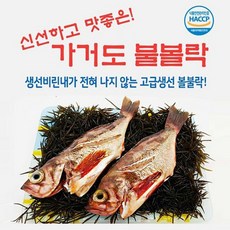 가거도 불볼락(열기) 뽈락 볼락살 손질 열기생선, 1개, 가거도 불볼락 대 3미