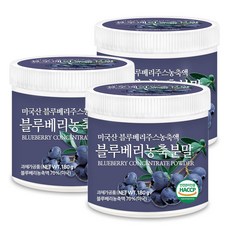 분말블루베리1kg