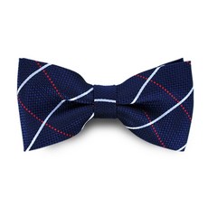 체크나비넥타이