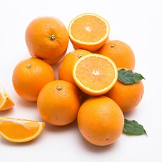 씨없는썬키스트