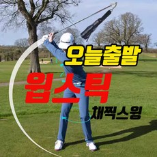 윕스틱 채찍스윙 골프 스윙 연습기 지연타격기, 1개