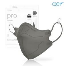 아에르 Pro (프로) 그레이 10매 L(대형) 100%국산 방진2급 컬러마스크