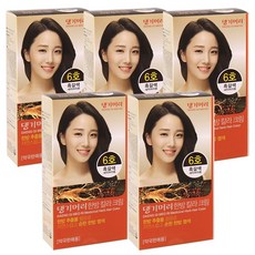댕기머리 한방칼라크림 새치염색약 6호 흑갈색 5개