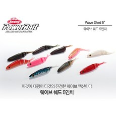 버클리aka