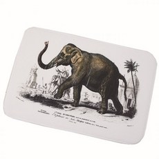 elephant메모리