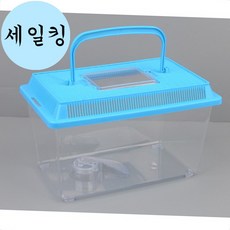 곤충 채집 잡기 장수풍뎅이 사슴벌레 보관 케이스 투명 대형 곤충채집통