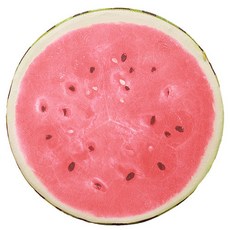 5d8d08b2eb92b2ef903031464040a6db9641976660000562f23e7fa46ee3.jpg