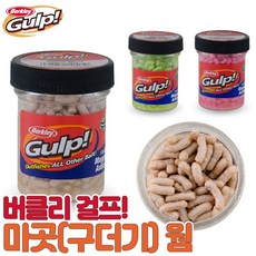 구더기