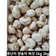 국내산 못난이 양송이버섯 1kg 2kg 업소용 식당용 대용량 양송이 버섯 대량버섯 양송이대용량 양송이벌크 벌크 일키로 이키로, 1개