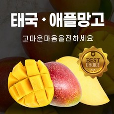 태국무지개망고