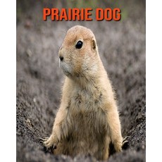 Prairie Dog: Fun Facts & Cool Pictures Paperback, Independently Published, English, 9798563744820