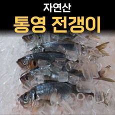 흑점줄전갱이회