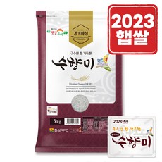 [23년햅쌀] 곳간오늘 화성RPC 수향미 5kg (지퍼백포장), 1개