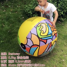 베스트웨이비치볼