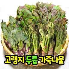 삼시세끼연구소 자연산 국산 두릅 개두릅 참두릅 생두릅 산두릅 엄나무순 나물 가죽나무 가죽나물 순 500g 1키로 1kg, 가죽나무순_500g, 1개
