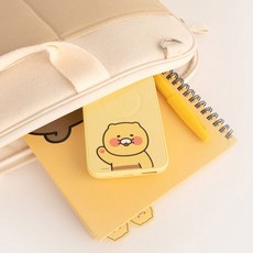 라이언보조배터리10000