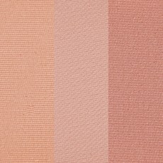 라네즈쿠션블러셔