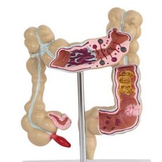 수문사간호학개론