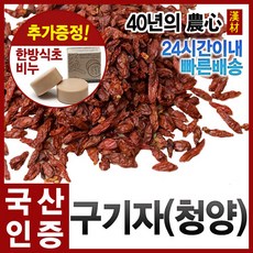 자애인 국산 청양 구기자 600g 건조 구기자차 건구기자 말린구기자 청양농협, 1개