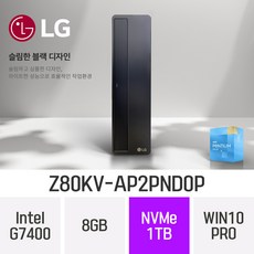 LG 슬림 데스크탑 Z80KV-AP2PND0P, WIN10 Pro, 8GB, 1TB, 펜티엄 G7400, B