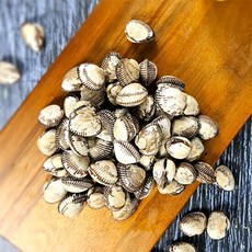 남해안 실속형 새꼬막(소) 2kg(200-240미), 1개