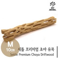 세틀 프리미엄 초야 유목 M 10cm [A급] / 초야우드, 1개