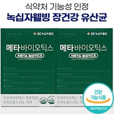 메타포트프로2