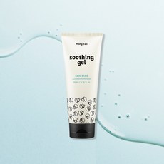 몽디에스수딩젤