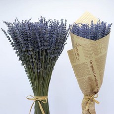 라벤더 말린꽃 꽃자재 드라이플라워 웨딩 장식, 50g