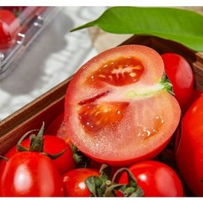 스위프리샤인마토