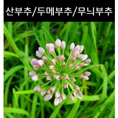 545c32411daf9eb30dc14c6bee85ac16d25a35a85bad91291576a054e561.jpg